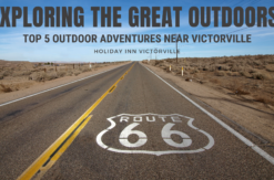 Exploring the Great Outdoors: Top 5 Outdoor Adventures Near Victorville